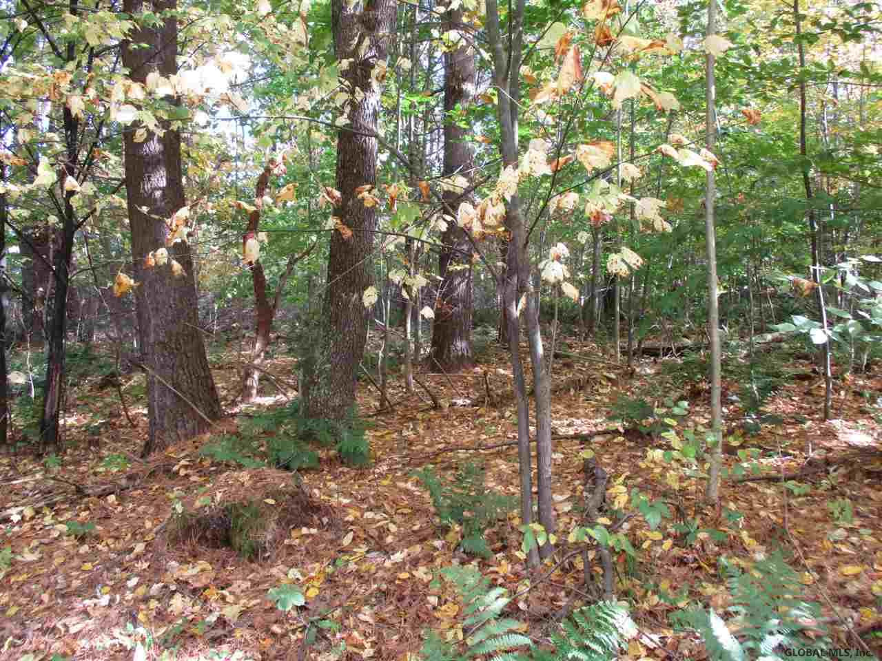 South Greenfield Road Greenfield Center, NY 12833 - Photo 16 of 19 Photo 16