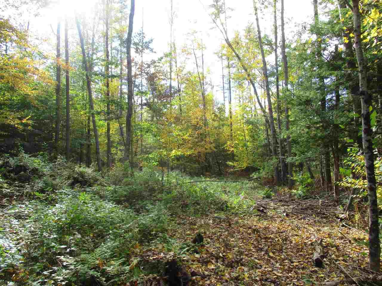 South Greenfield Road Greenfield Center, NY 12833 - Photo 17 of 19 Photo 17