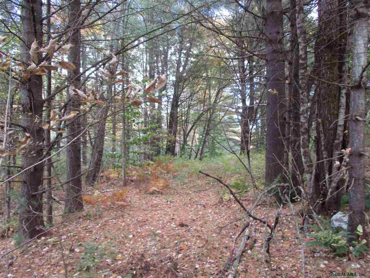 South Greenfield Road Greenfield Center, NY 12833 - Photo 18 of 19 Photo 18