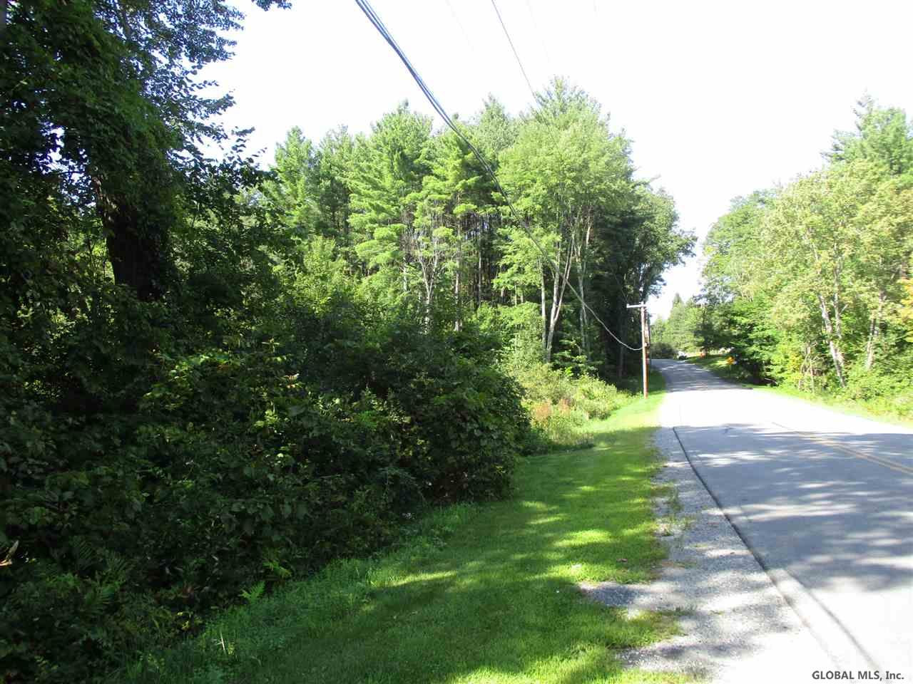 South Greenfield Road Greenfield Center, NY 12833 - Photo 19 of 19 Photo 19