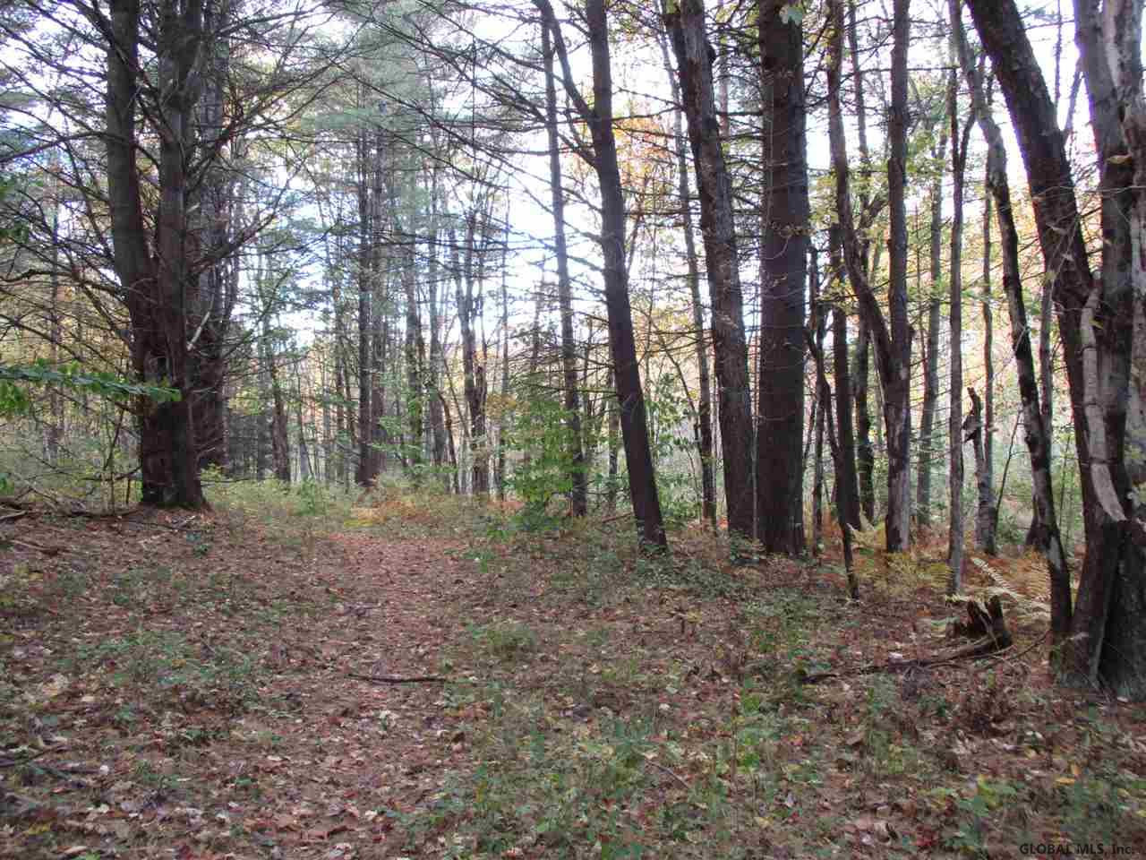 South Greenfield Road Greenfield Center, NY 12833 - Photo 3 of 19 Photo 3