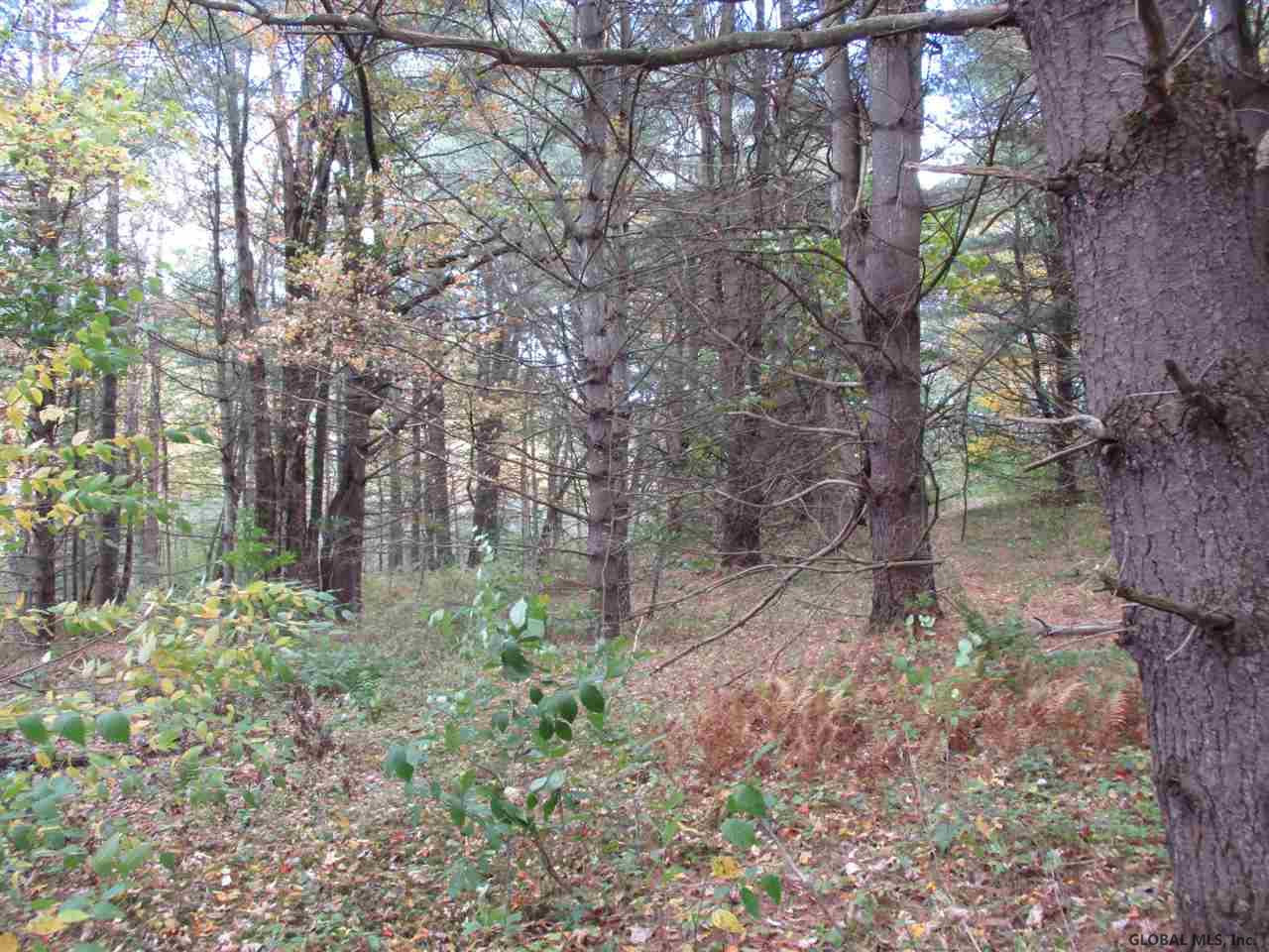 South Greenfield Road Greenfield Center, NY 12833 - Photo 5 of 19 Photo 5