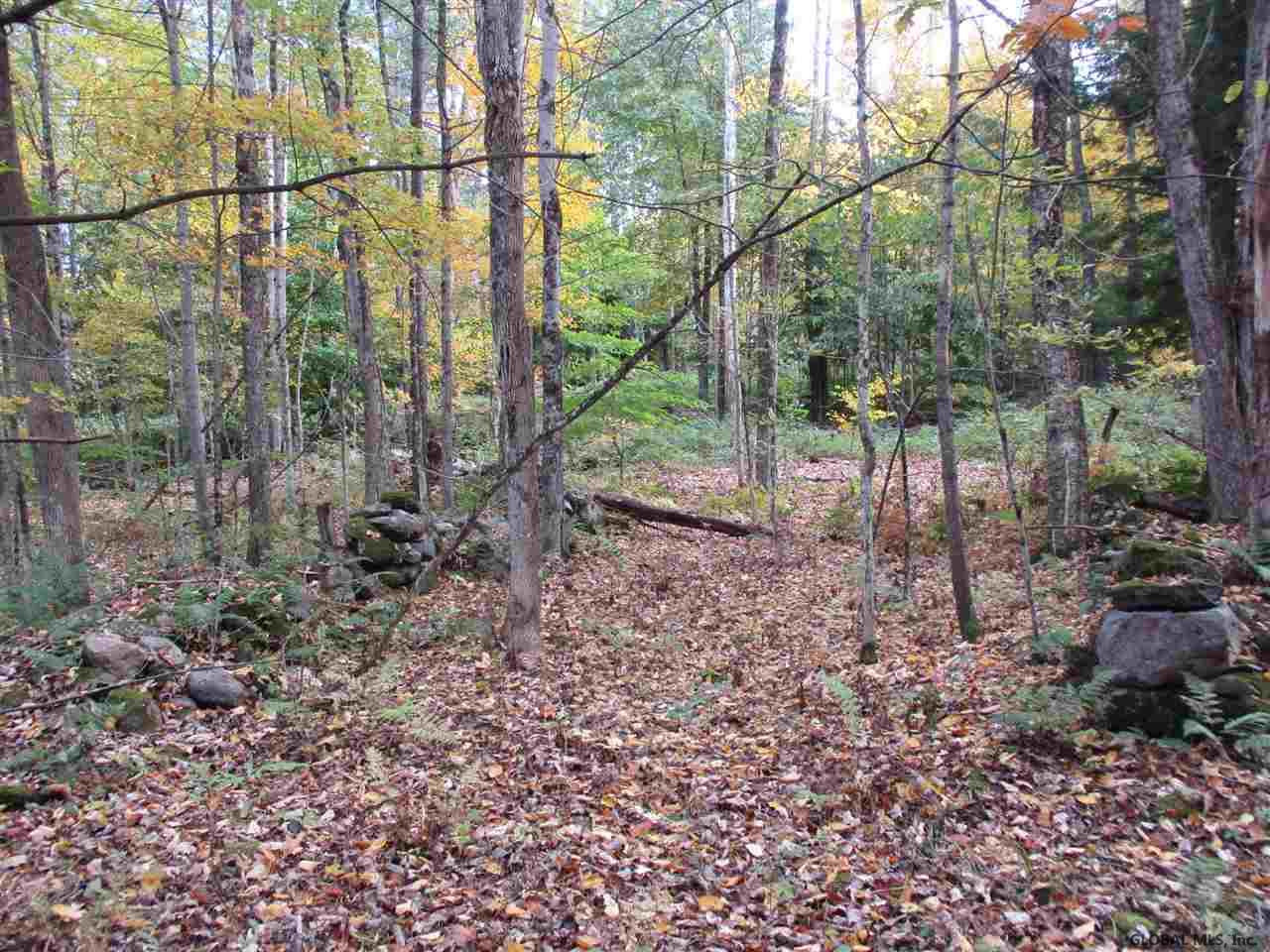 South Greenfield Road Greenfield Center, NY 12833 - Photo 6 of 19 Photo 6