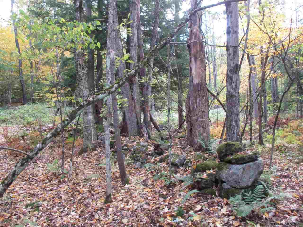 South Greenfield Road Greenfield Center, NY 12833 - Photo 7 of 19 Photo 7