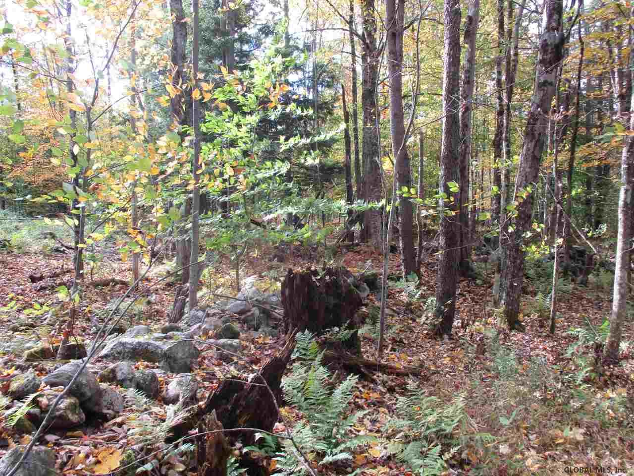 South Greenfield Road Greenfield Center, NY 12833 - Photo 8 of 19 Photo 8