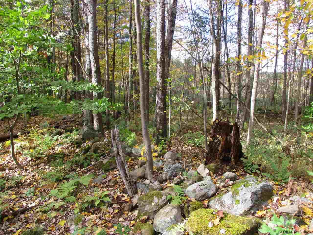 South Greenfield Road Greenfield Center, NY 12833 - Photo 9 of 19 Photo 9