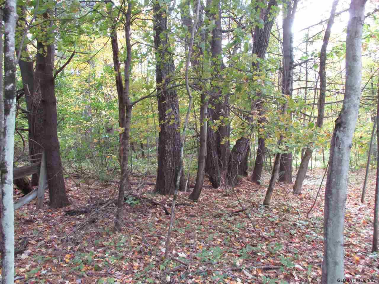 South Greenfield Road Greenfield Center, NY 12833 - Photo 10 of 19 Photo 10