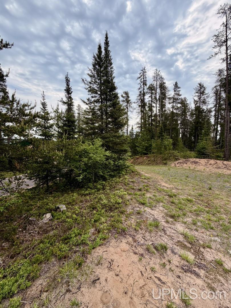 3505 Deer Lake Road Ishpeming, MI 49849 - Photo 5 of 6