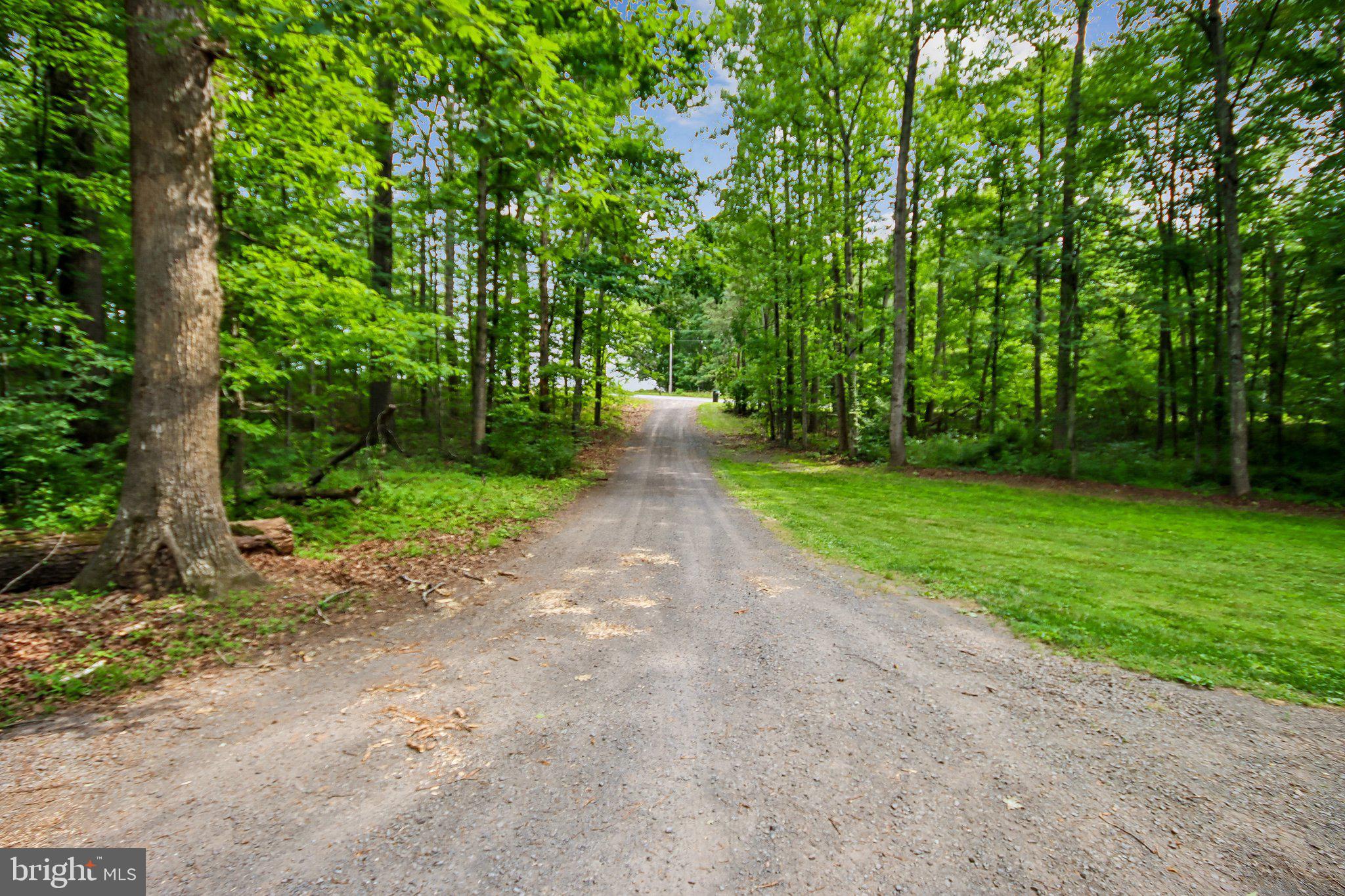 10309 Dutch Hollow Road Rixeyville, VA 22737 - Photo 3 of 31