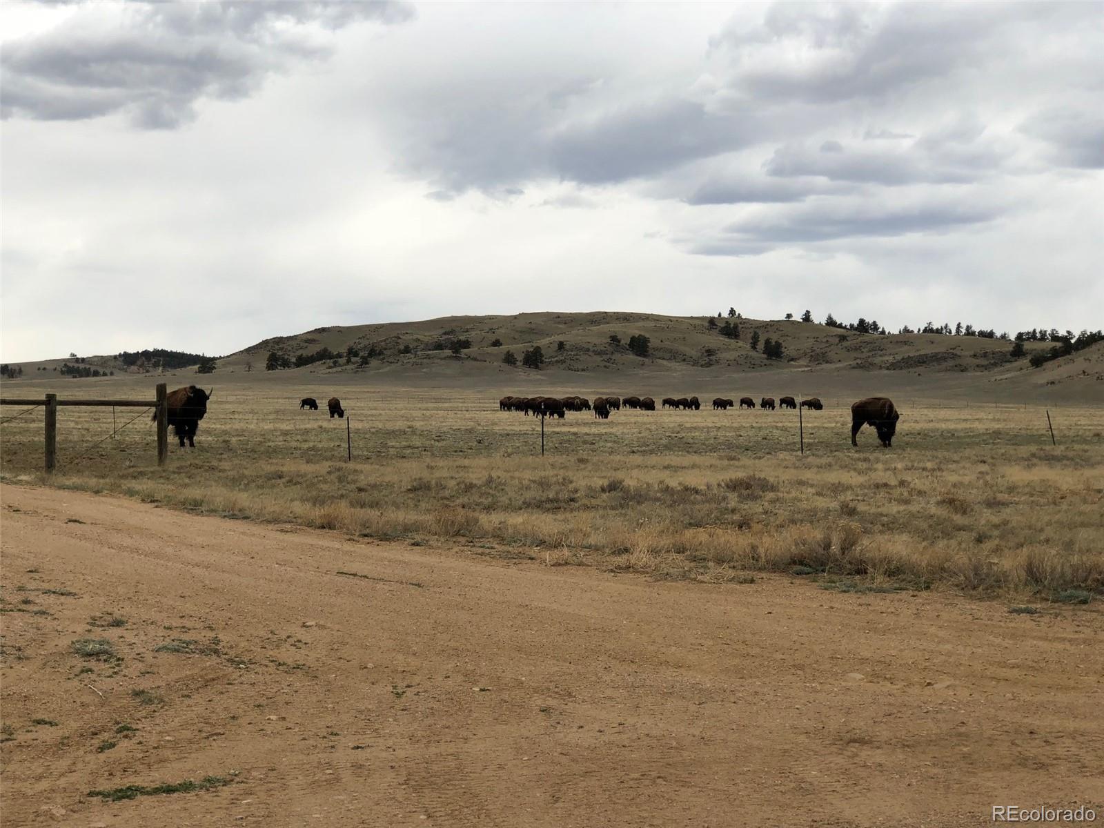 6092 Black Hawk Road Hartsel, CO 80449 - Photo 12 of 23 Gallery Image 12
