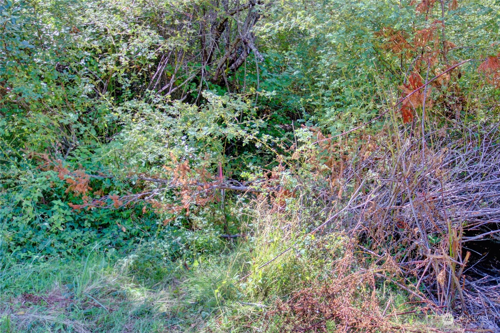 0 Race Road, Unit B Coupeville, WA 98239 - Photo 13 of 16 a backyard of a house with lots of green space and garden