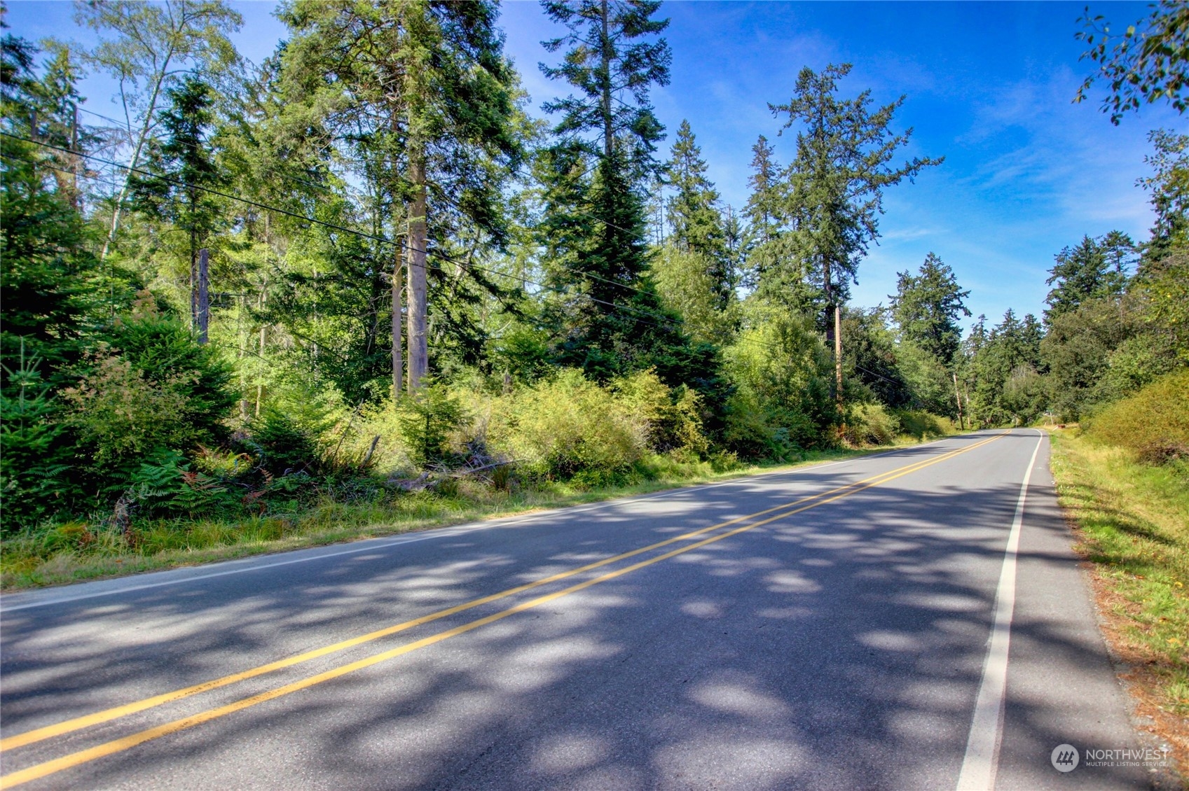 0 Race Road, Unit B Coupeville, WA 98239 - Photo 14 of 16 a view of a yard with plants and trees