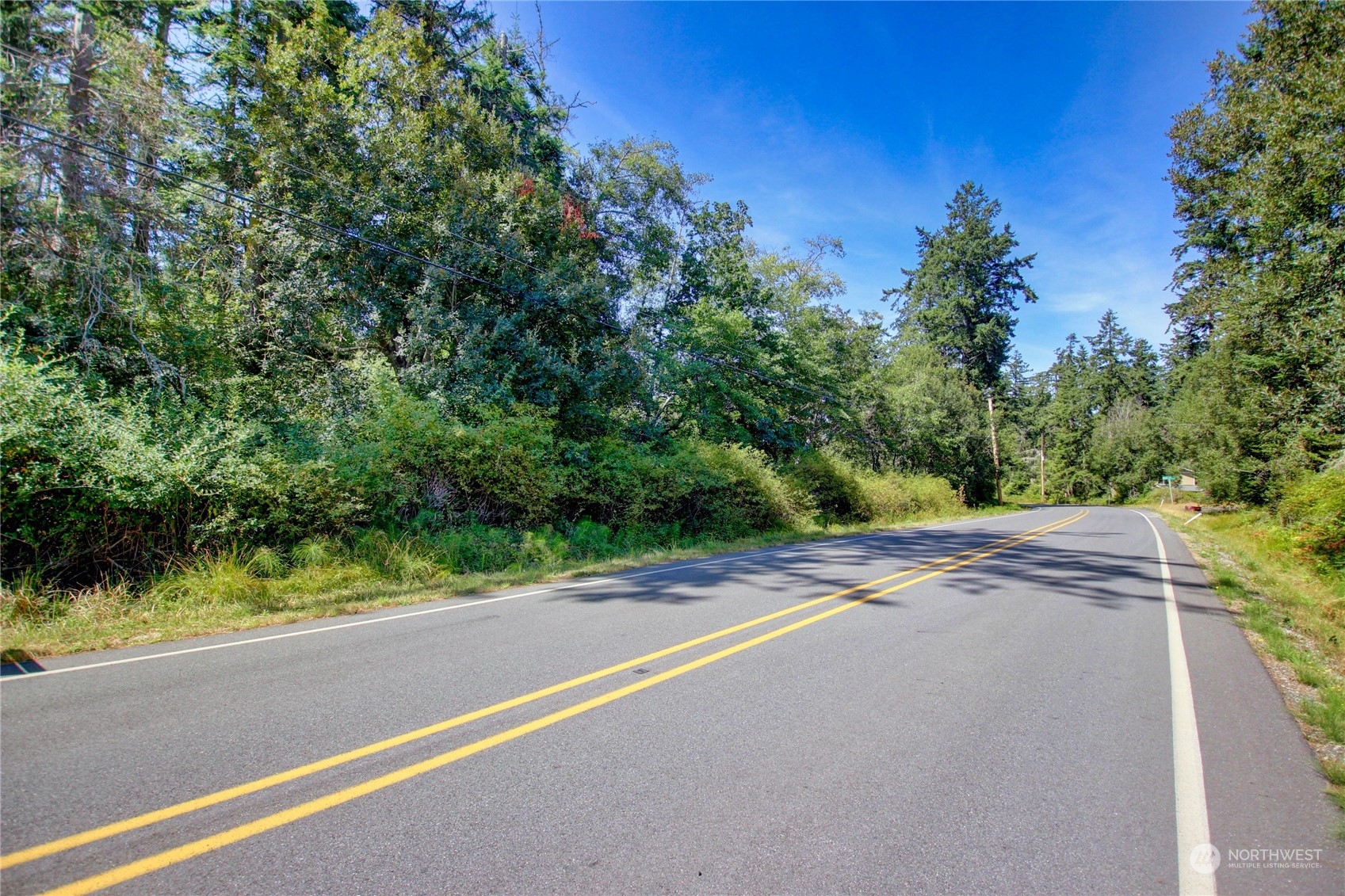 0 Race Road, Unit B Coupeville, WA 98239 - Photo 4 of 16 a view of a yard with potted plants and large trees
