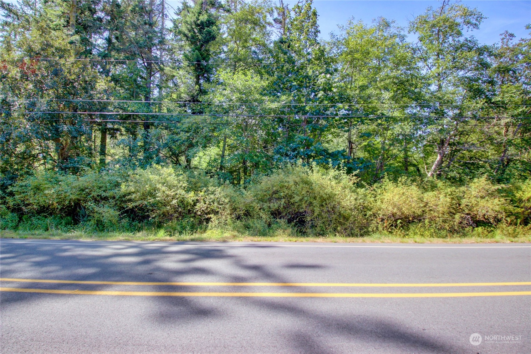 0 Race Road, Unit B Coupeville, WA 98239 - Photo 7 of 16 a view of a yard