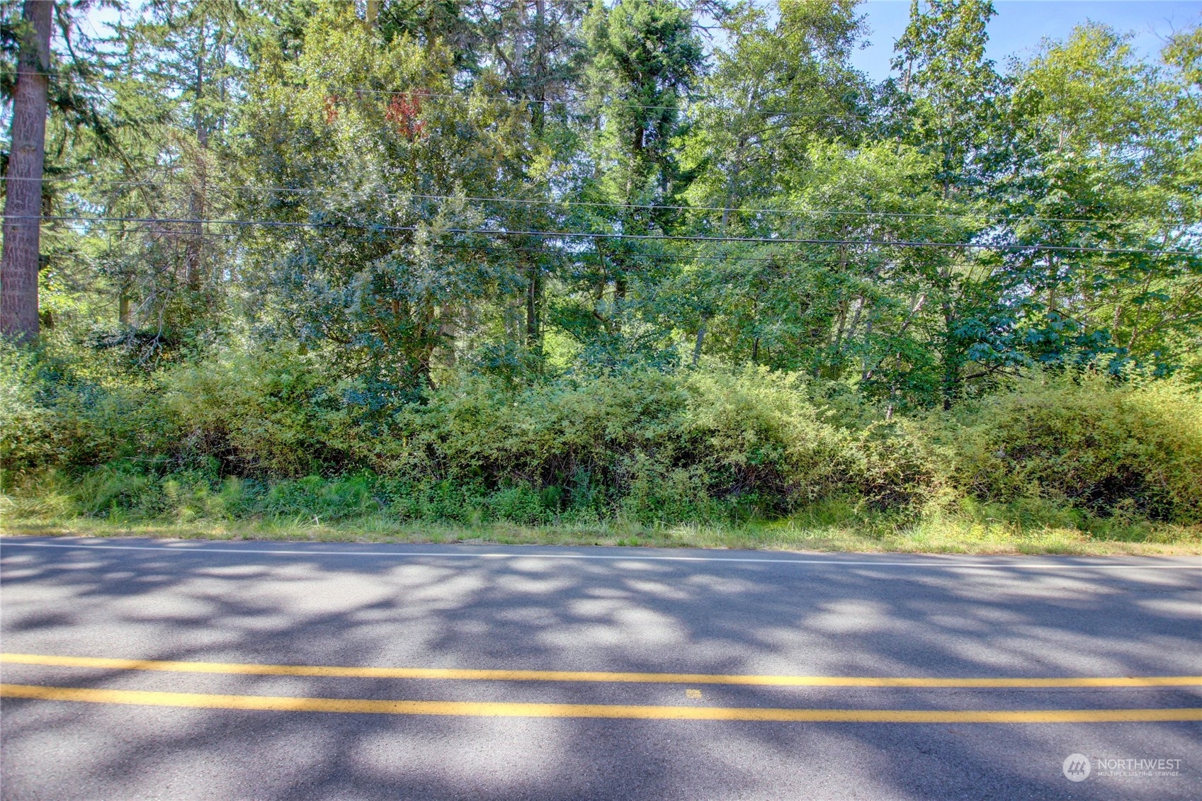 0 Race Road, Unit B Coupeville, WA 98239 - Photo 8 of 16 a view of a yard with a tree