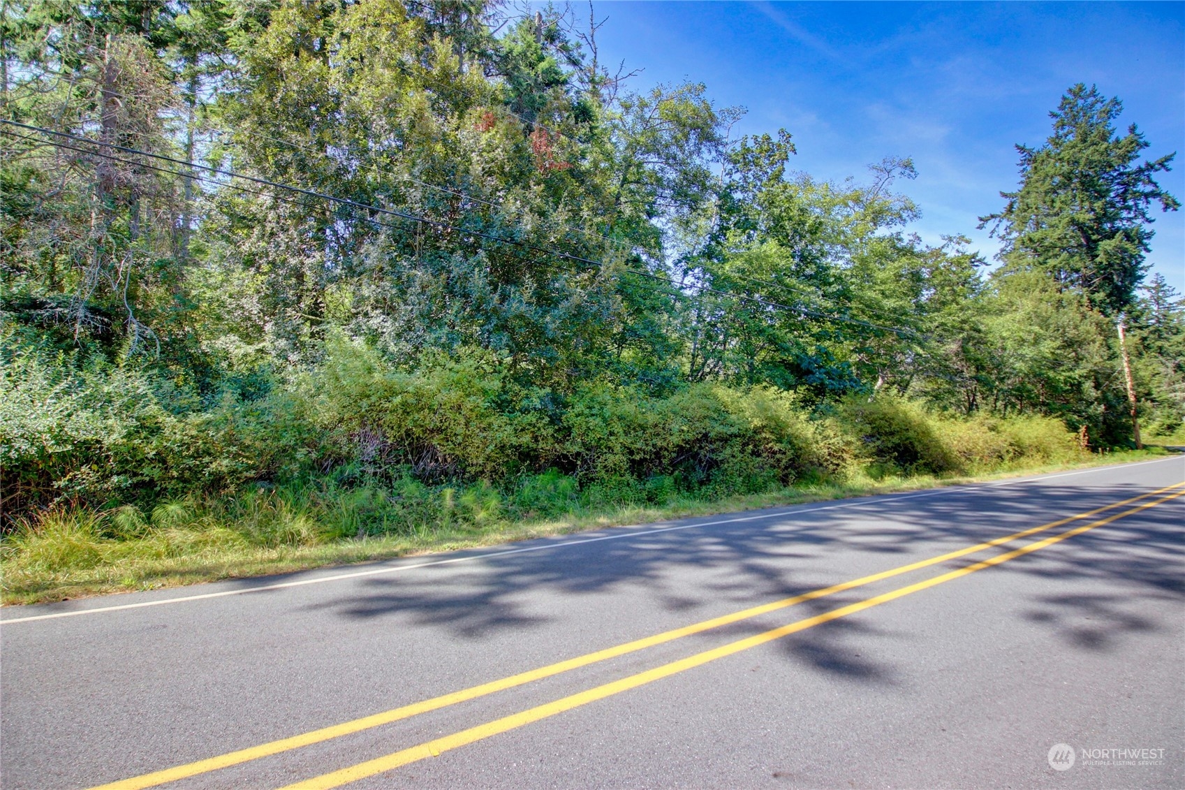 0 Race Road, Unit B Coupeville, WA 98239 - Photo 9 of 16 a view of a yard with a house