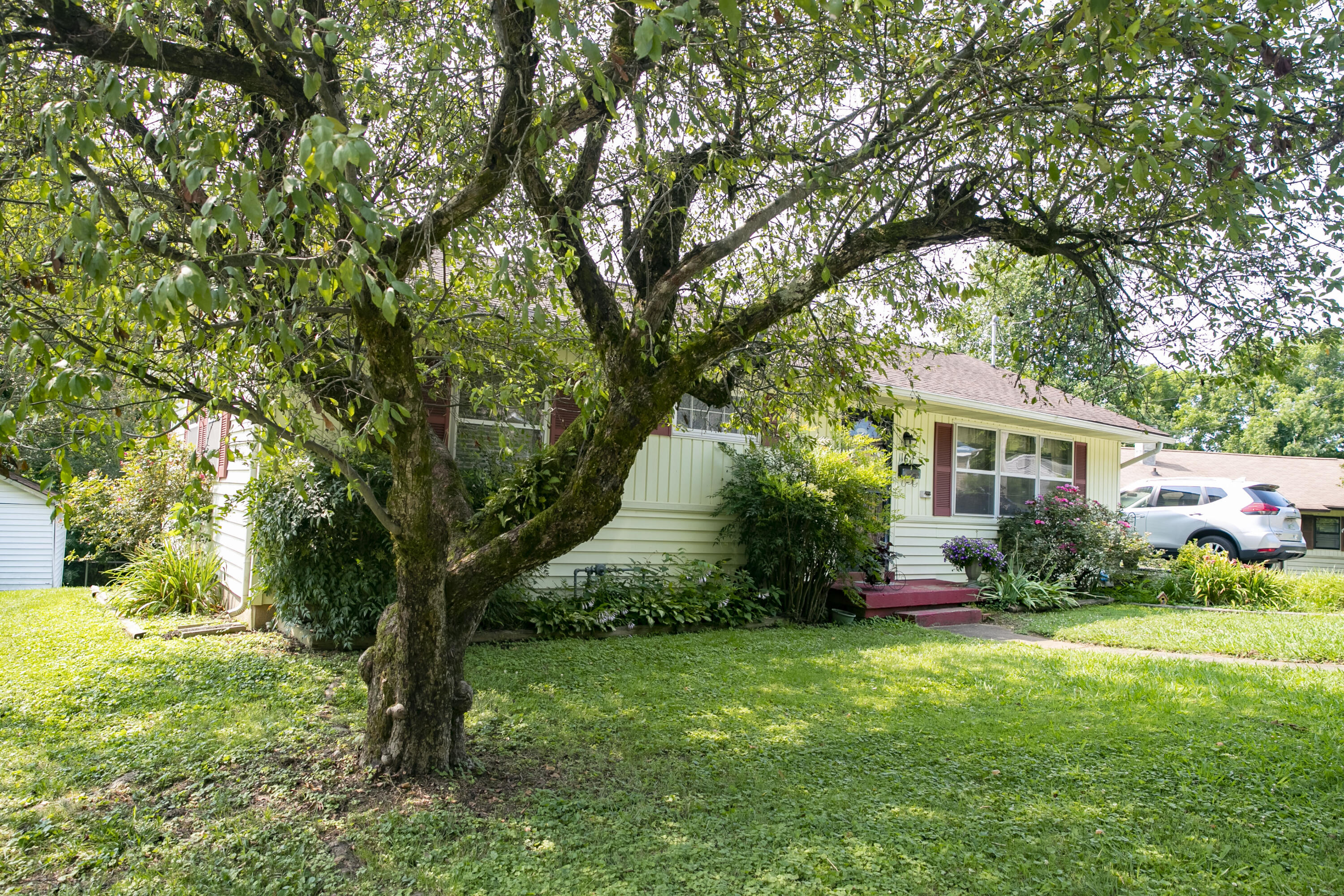 116 Alger Road Oak Ridge, TN 37830 - Photo 3 of 39 116 Alger #80