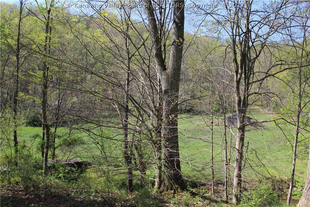 1767 Aarons Fork Road Elkview, WV 25071 - Photo 37 of 50 Gallery Image 37