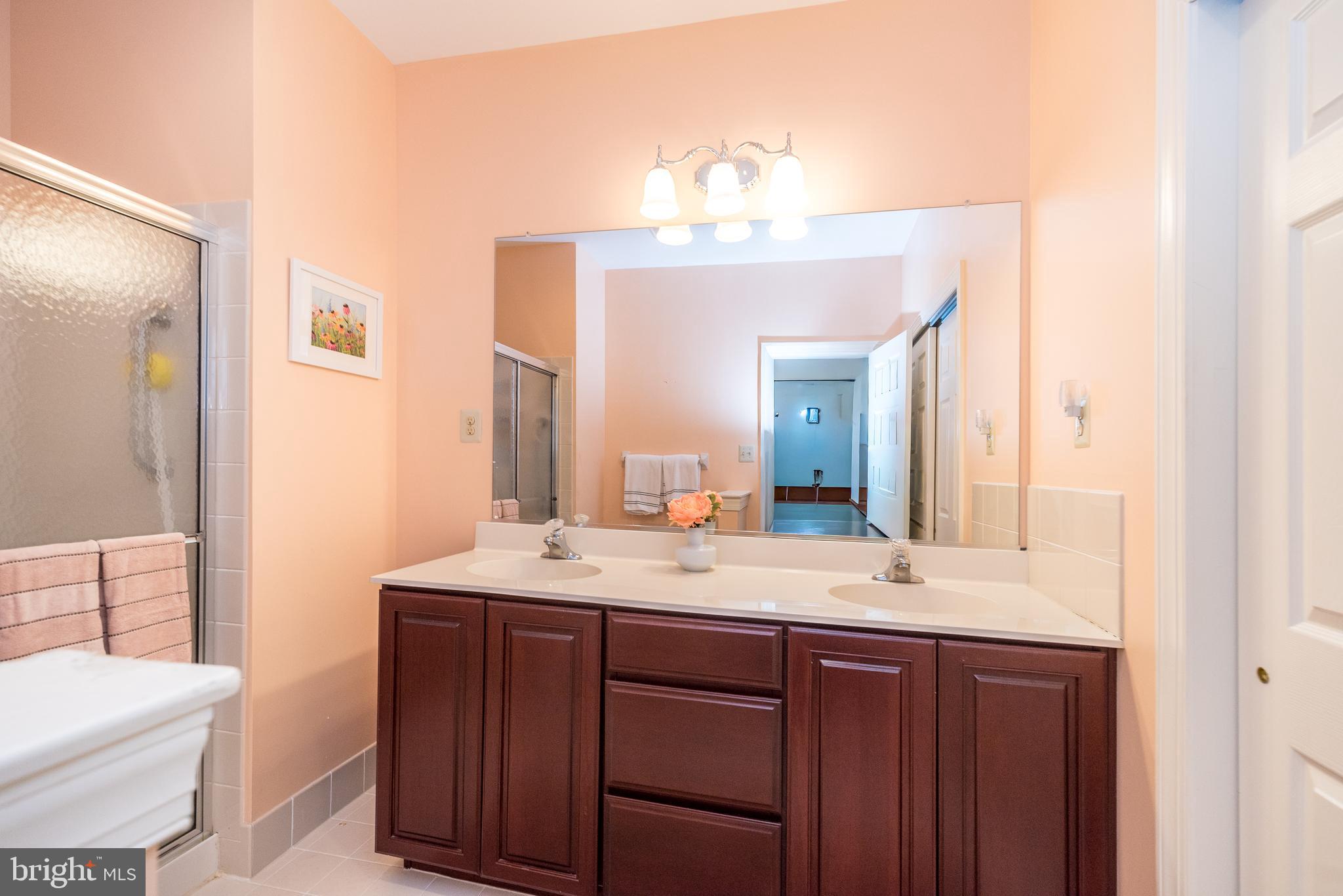 114 West Kennedy Road, Unit 189 North Wales, PA 19454 - Photo 19 of 43 a bathroom with a sink and a mirror
