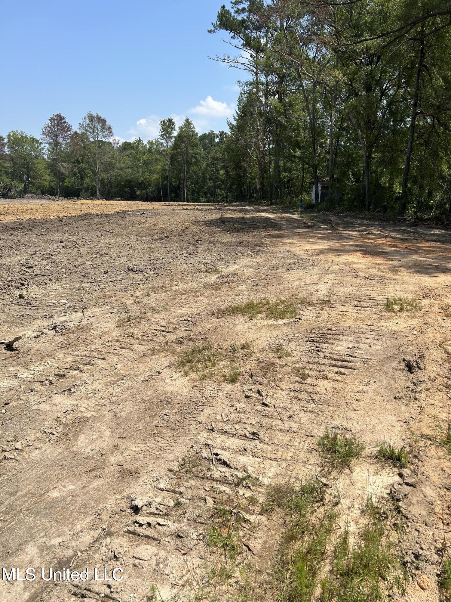 Ms-18 Quitman, MS 39355 - Photo 5 of 7 20230824170608194371000000-o