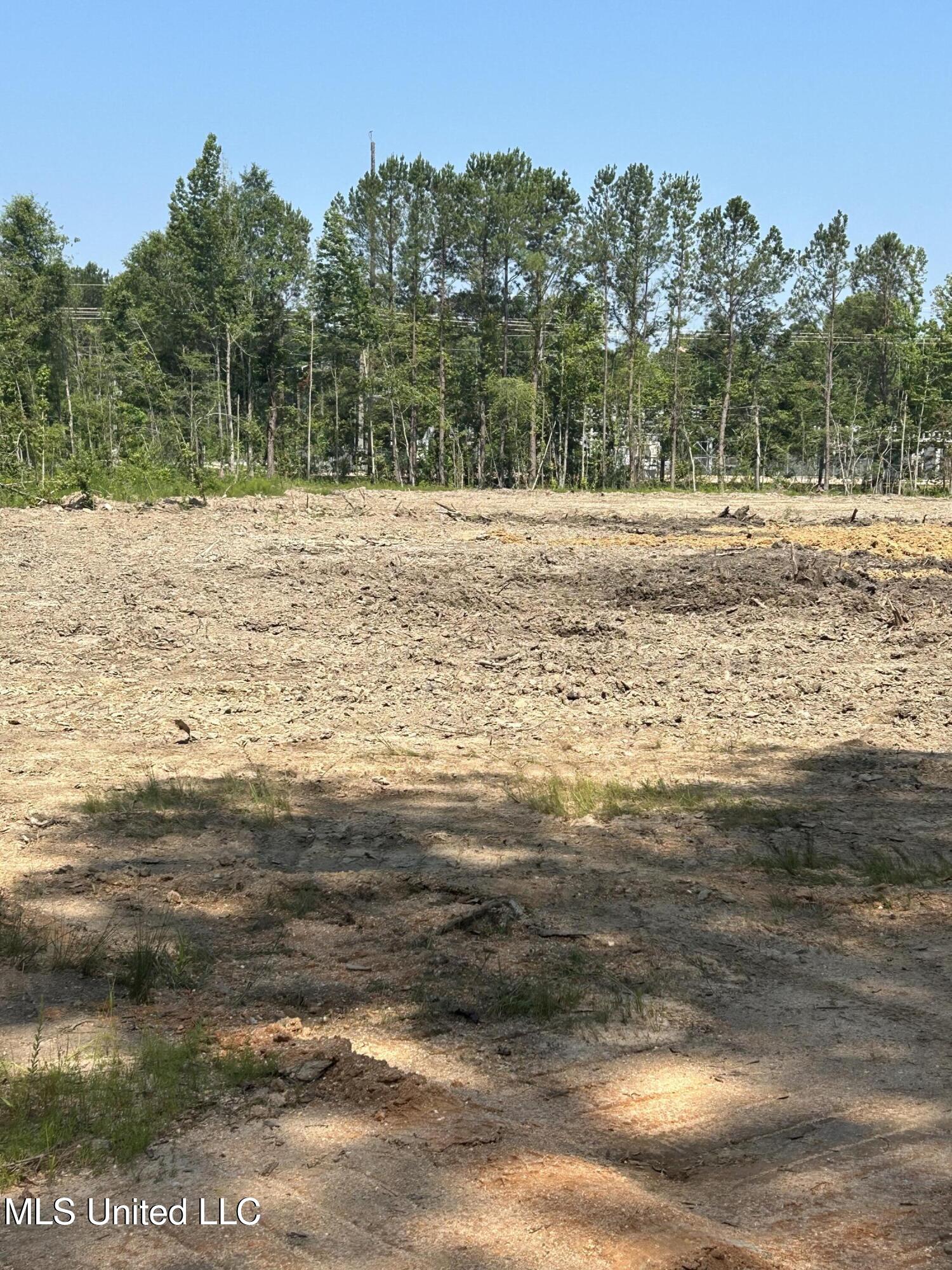 Ms-18 Quitman, MS 39355 - Photo 6 of 7 20230824170557786871000000-o