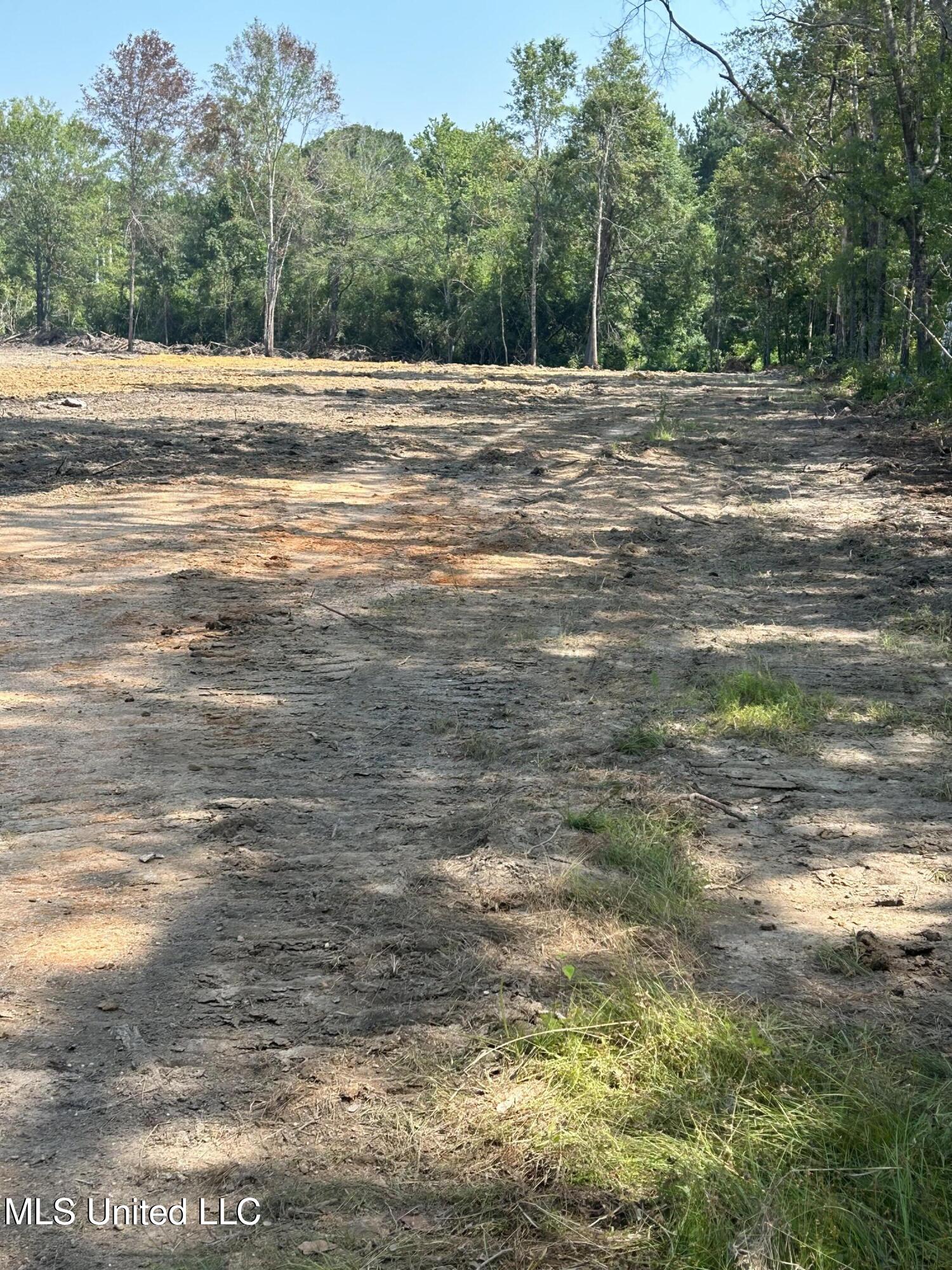 Ms-18 Quitman, MS 39355 - Photo 7 of 7 20230824170550441045000000-o