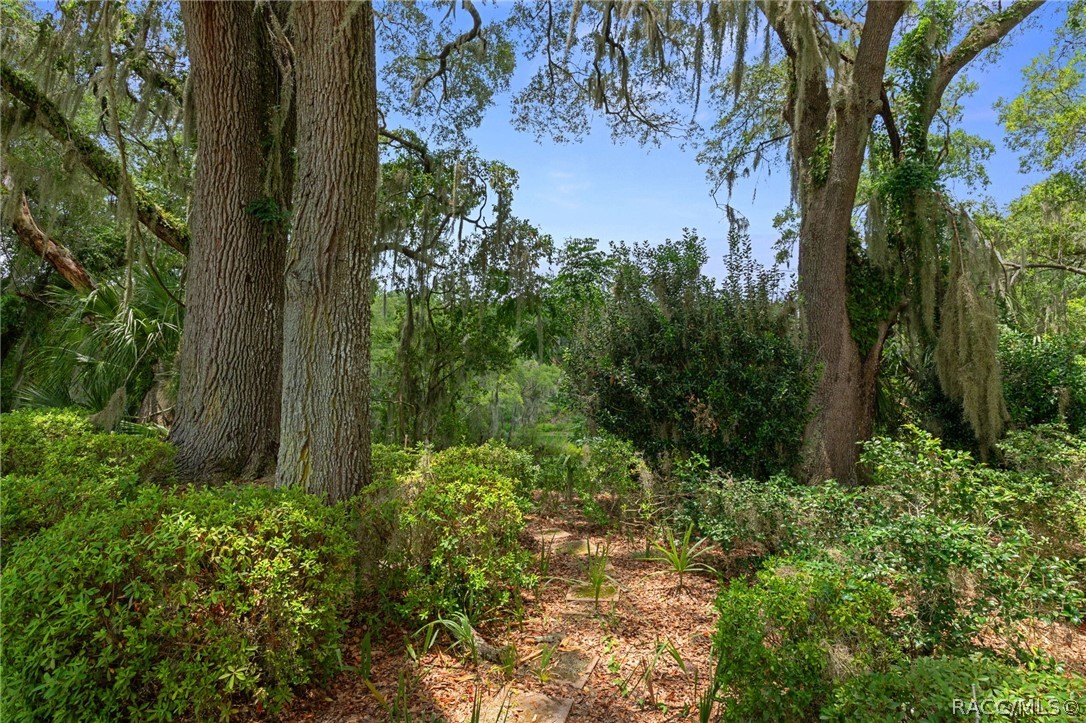 3116 North Stratham Point Hernando, FL 34442 - Photo 39 of 50