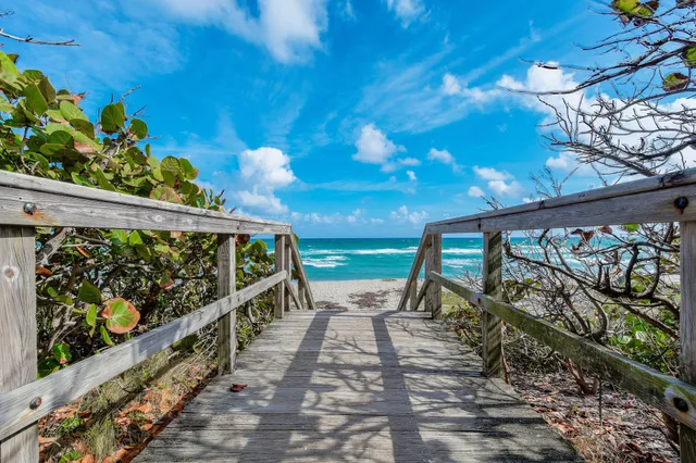 a view of a city and ocean view