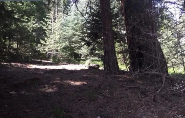 a view of outdoor space and trees