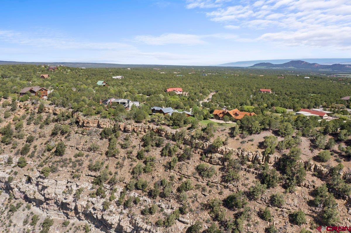 800 Pine Drive Ridgway, CO 81432 - Photo 33 of 35 an aerial view of residential houses with outdoor space and trees