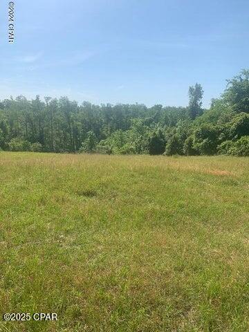 4 Spring Chase Lane Marianna, FL 32446 - Photo 2 of 2