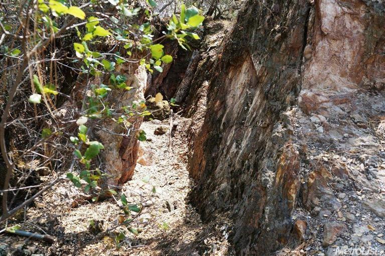 0 Kilaga Springs Road Lincoln, CA 95648 - Photo 14 of 18 a picture of tree