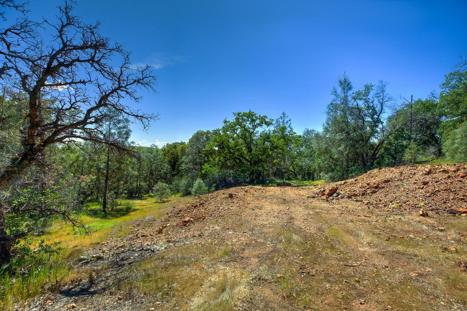 0 Kilaga Springs Road Lincoln, CA 95648 - Photo 4 of 18 a view of a yard with trees in the background
