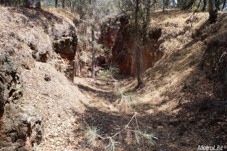 0 Kilaga Springs Road Lincoln, CA 95648 - Photo 8 of 18 a view of a yard with lots of trees