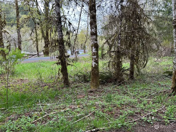 a view of outdoor space and green space