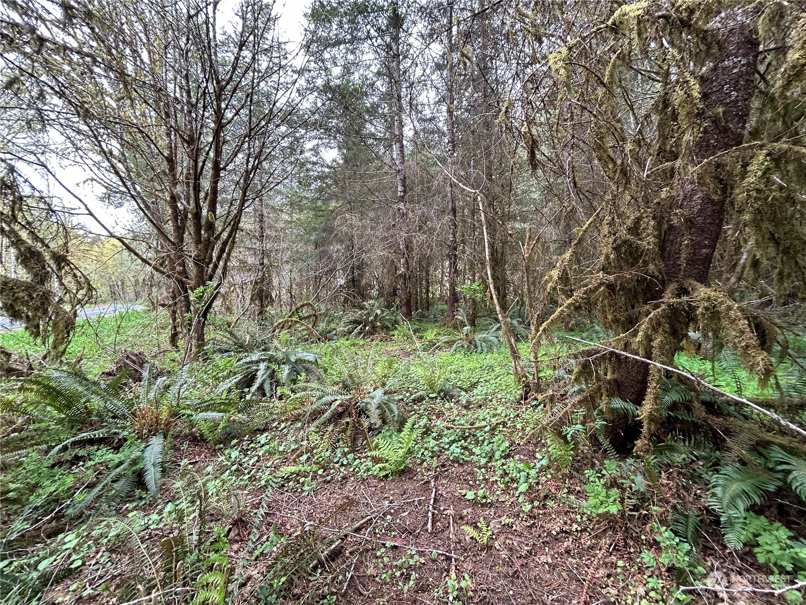 4 Abernathy Creek Road Longview, WA 98632 - Photo 5 of 13 a view of a garden