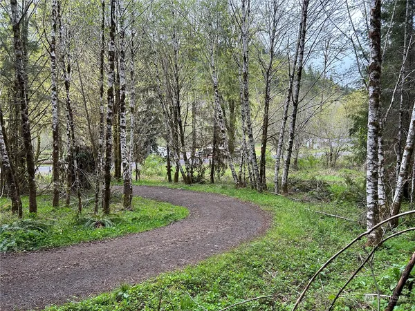 a view of a park with large trees