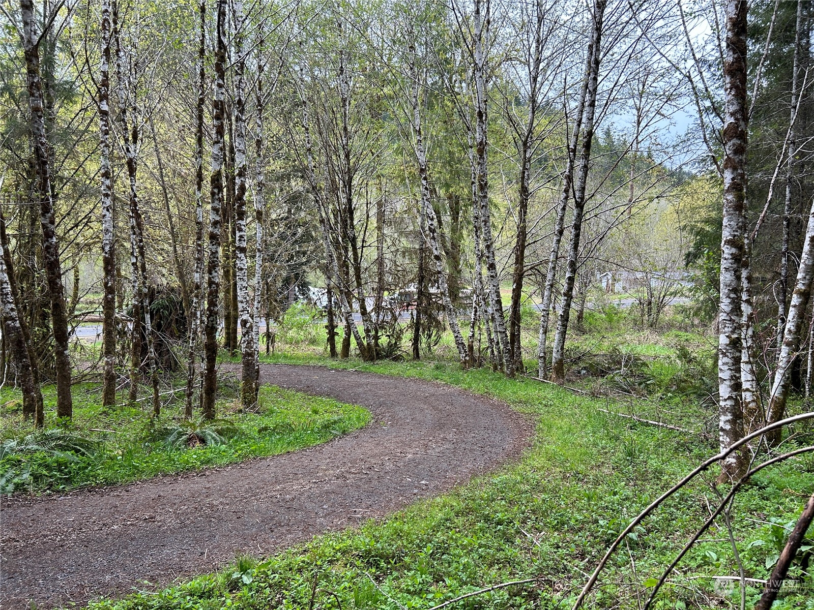 4 Abernathy Creek Road Longview, WA 98632 - Photo 7 of 13 a view of a park with large trees