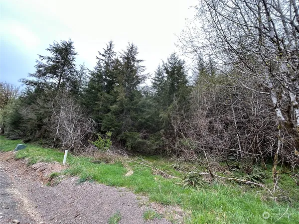 a big yard with lots of green space and deers