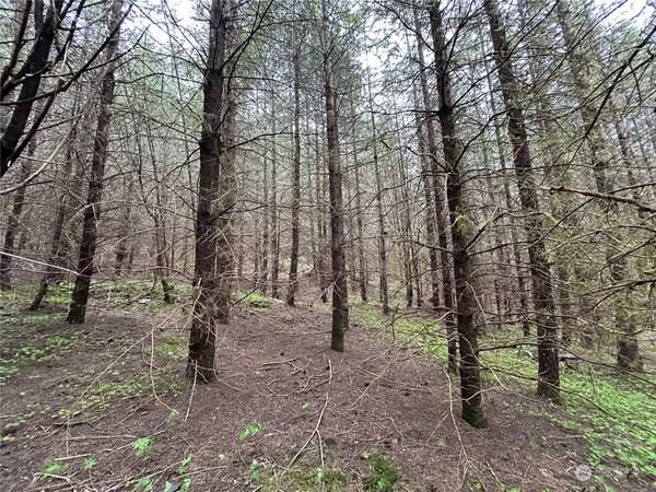 a view of outdoor space and trees