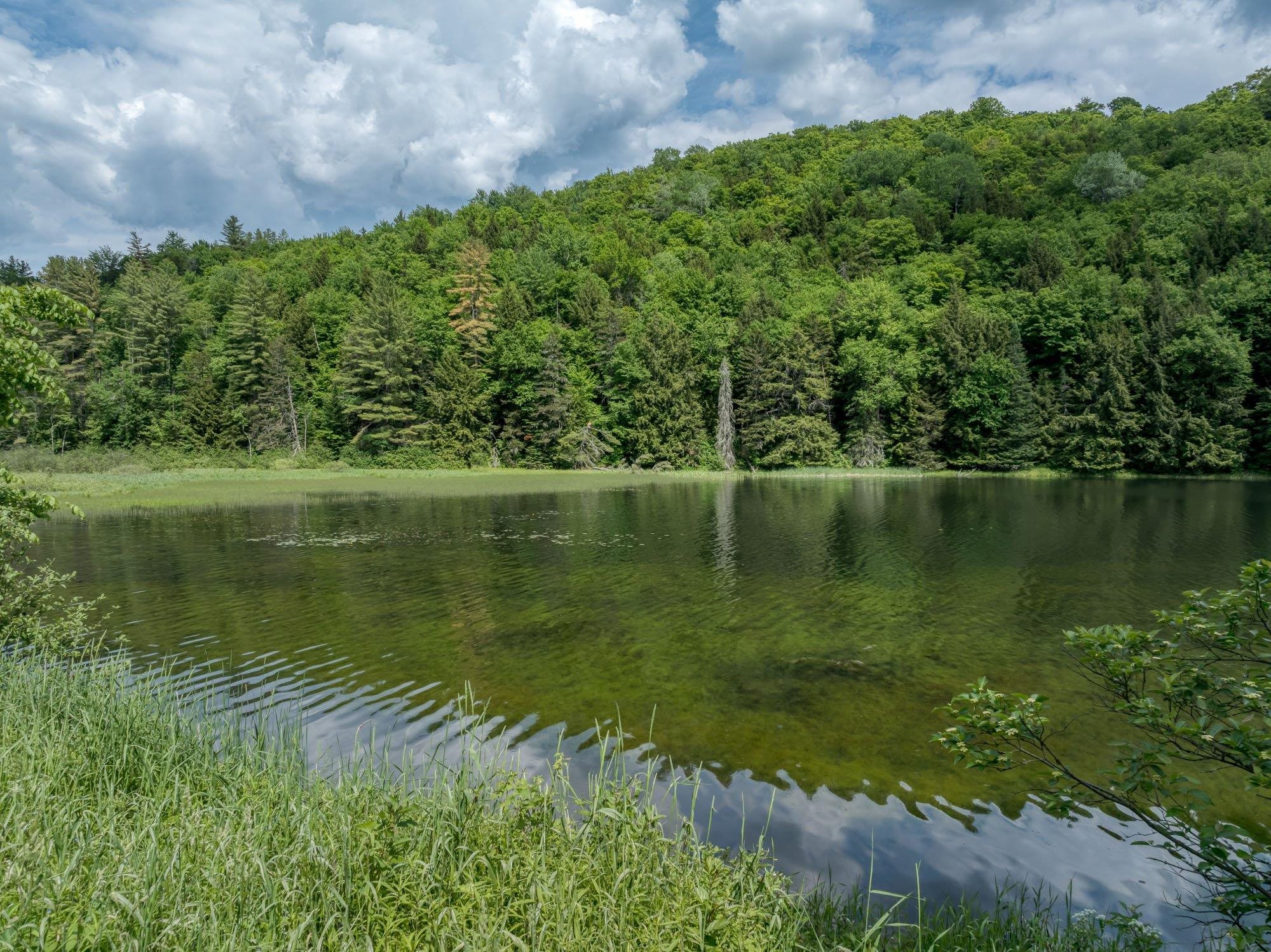 0 Craftsbury Road Hardwick, VT 05843 - Photo 8 of 18 Gallery Image 8