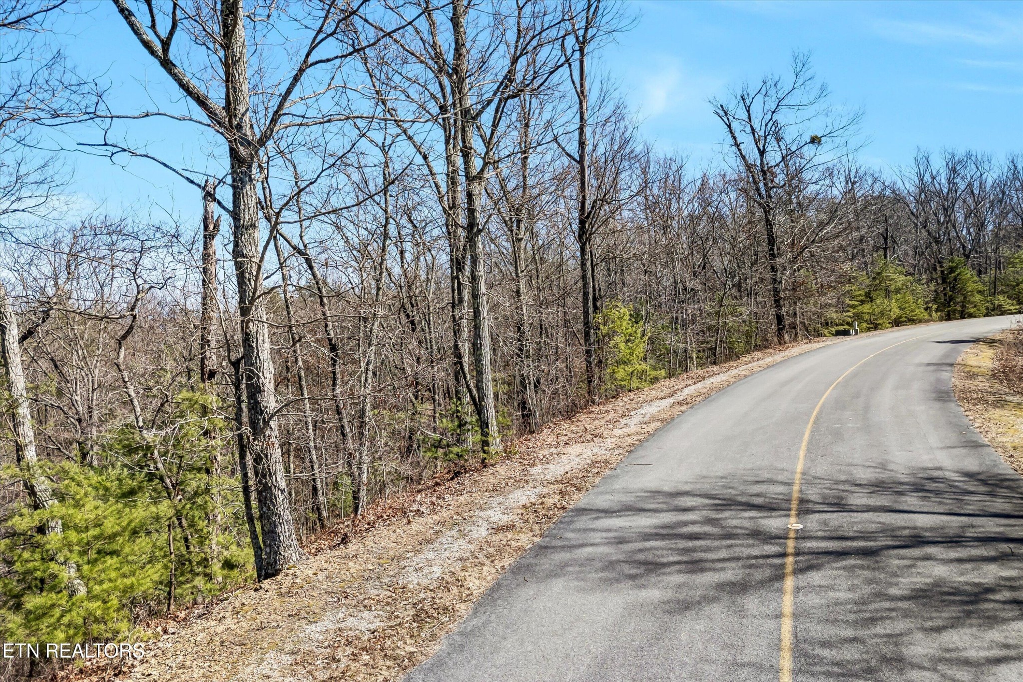 43 Harvest Moon Road Sevierville, TN 37862 - Photo 2 of 33 Gallery Image 2