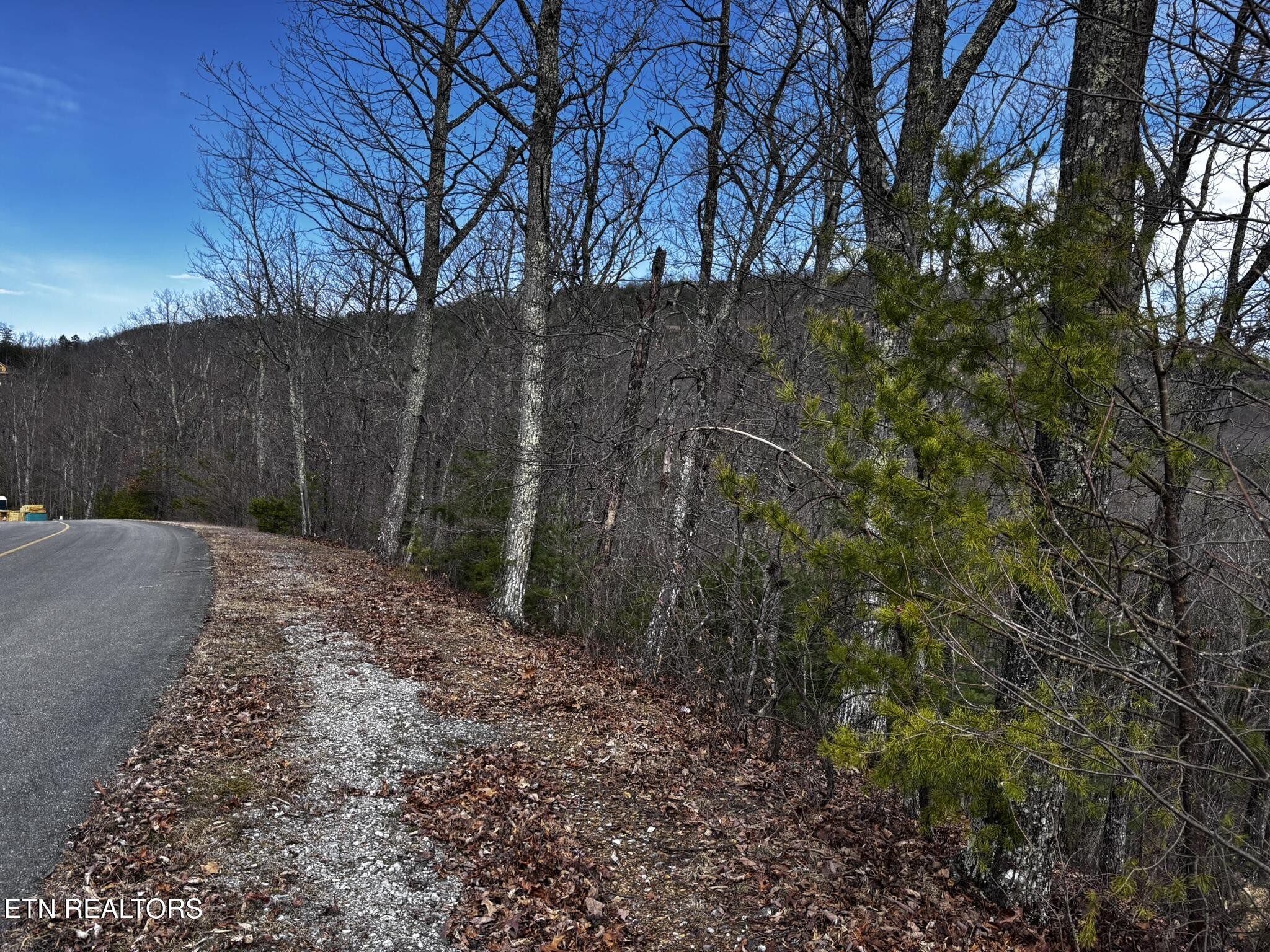 43 Harvest Moon Road Sevierville, TN 37862 - Photo 25 of 33 Gallery Image 25