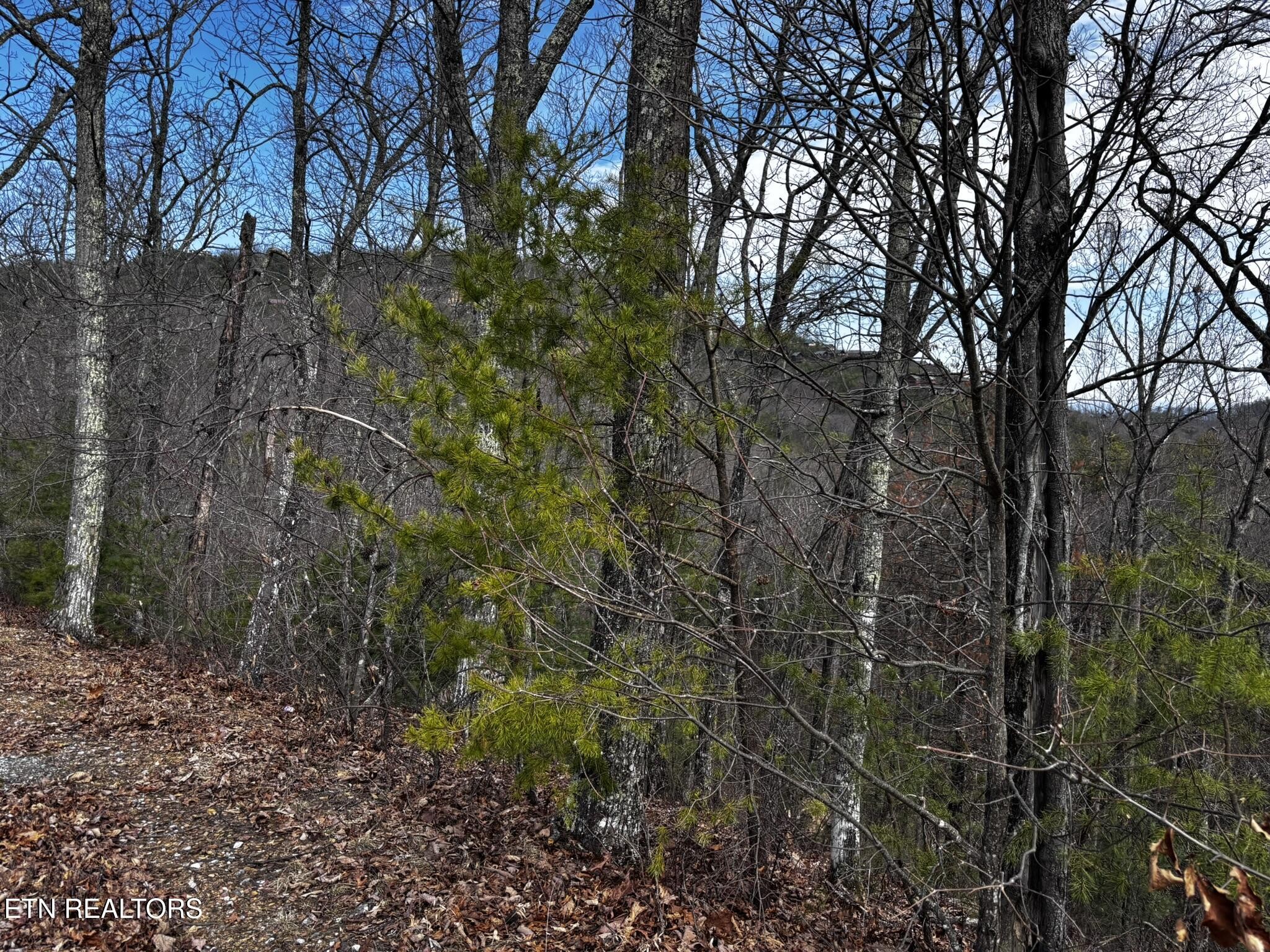 43 Harvest Moon Road Sevierville, TN 37862 - Photo 26 of 33 Gallery Image 26