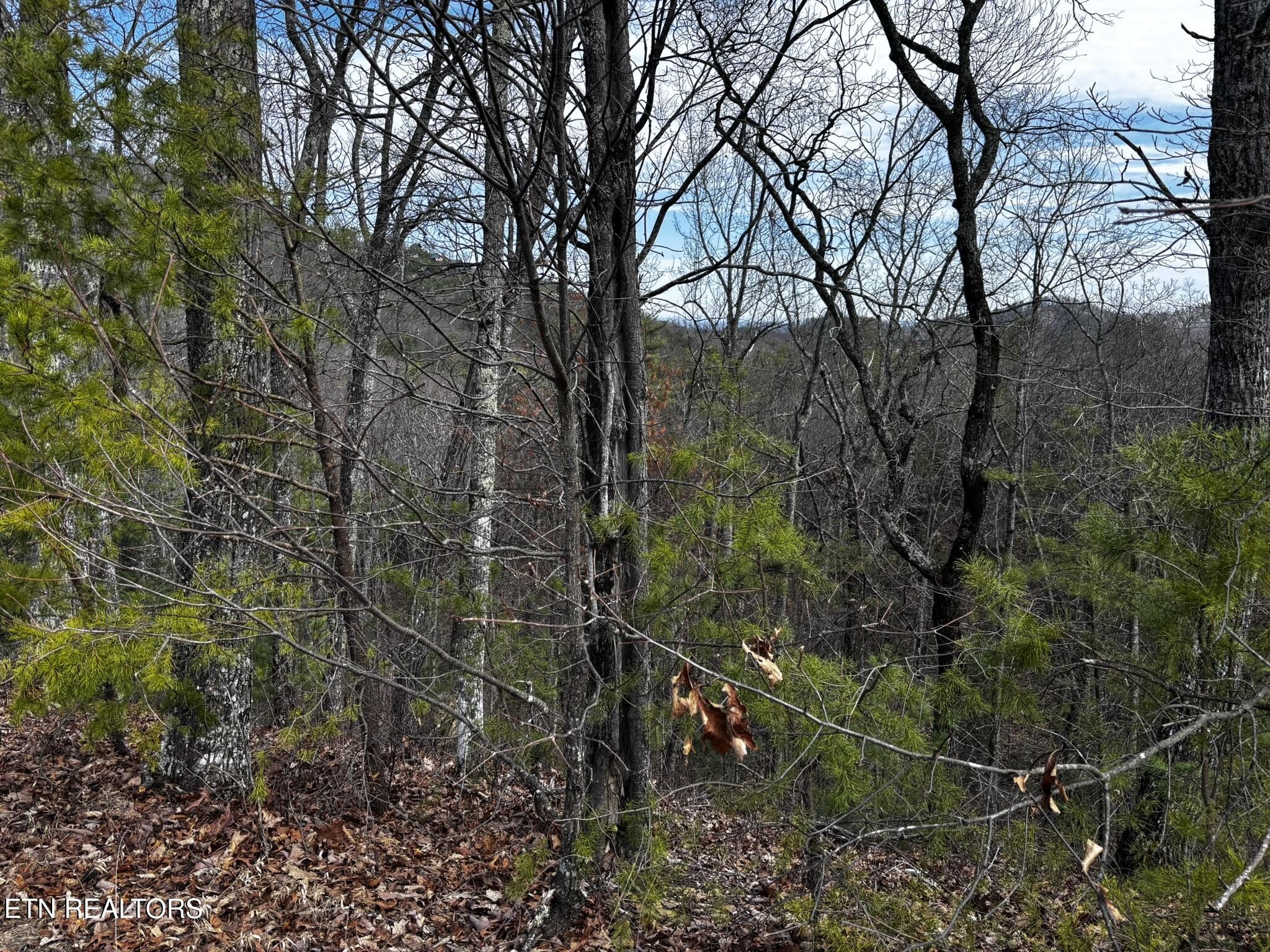 43 Harvest Moon Road Sevierville, TN 37862 - Photo 27 of 33 Gallery Image 27