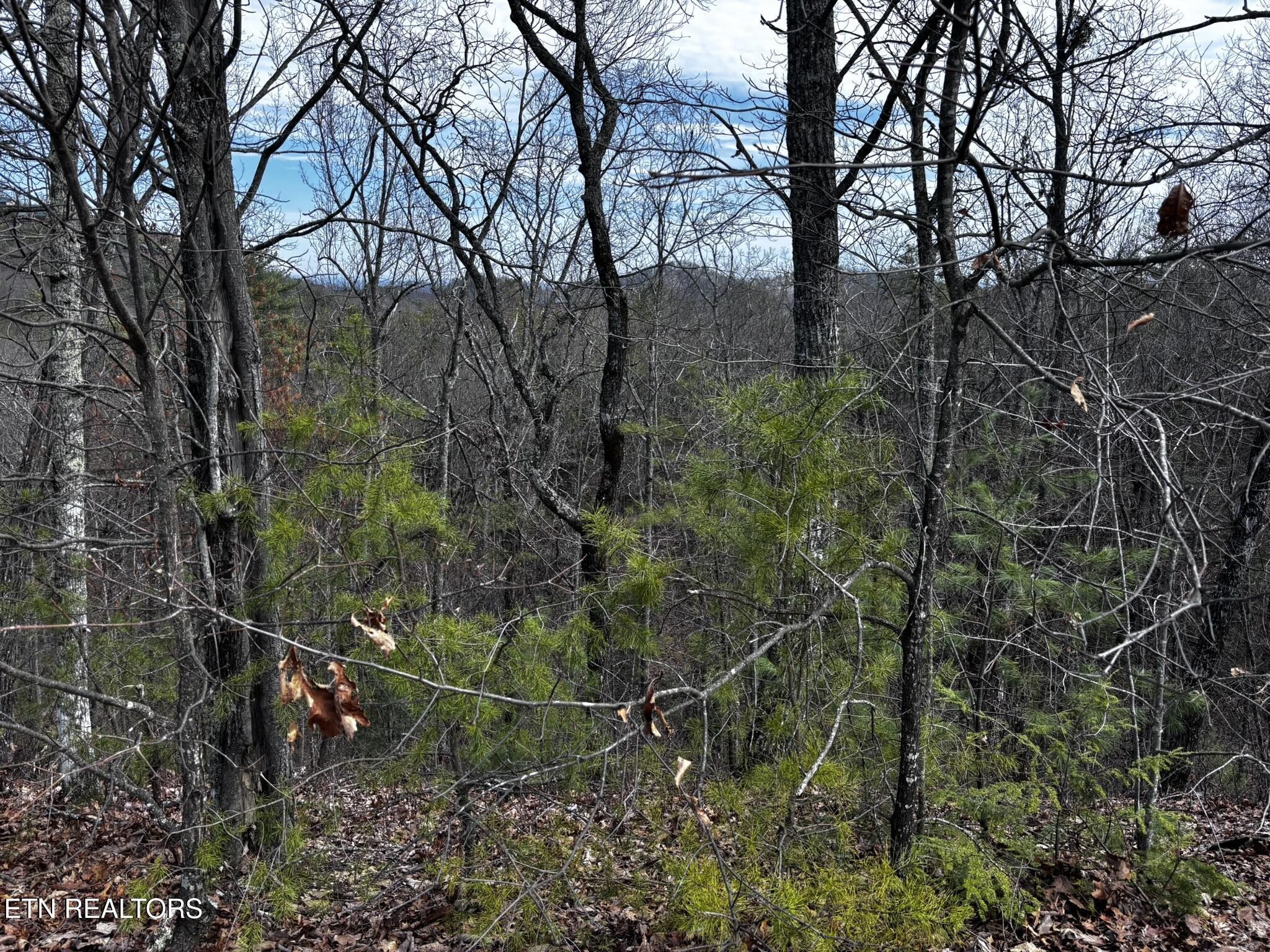 43 Harvest Moon Road Sevierville, TN 37862 - Photo 28 of 33 Gallery Image 28