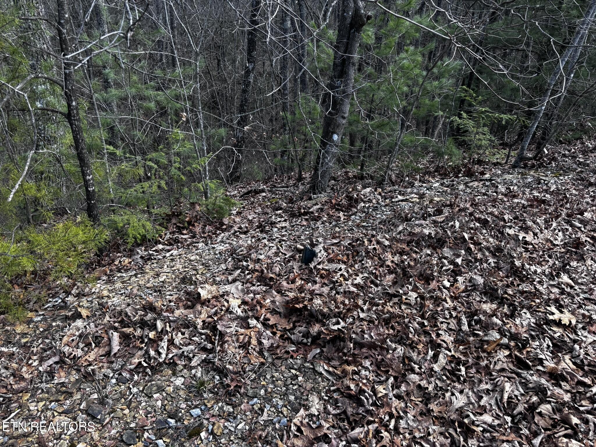 43 Harvest Moon Road Sevierville, TN 37862 - Photo 29 of 33 Gallery Image 29
