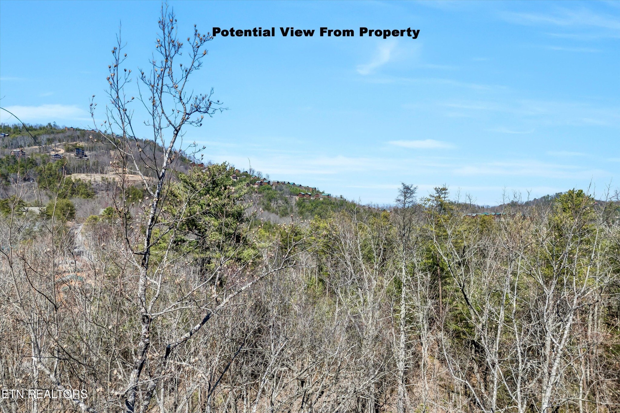 43 Harvest Moon Road Sevierville, TN 37862 - Photo 3 of 33 Gallery Image 3