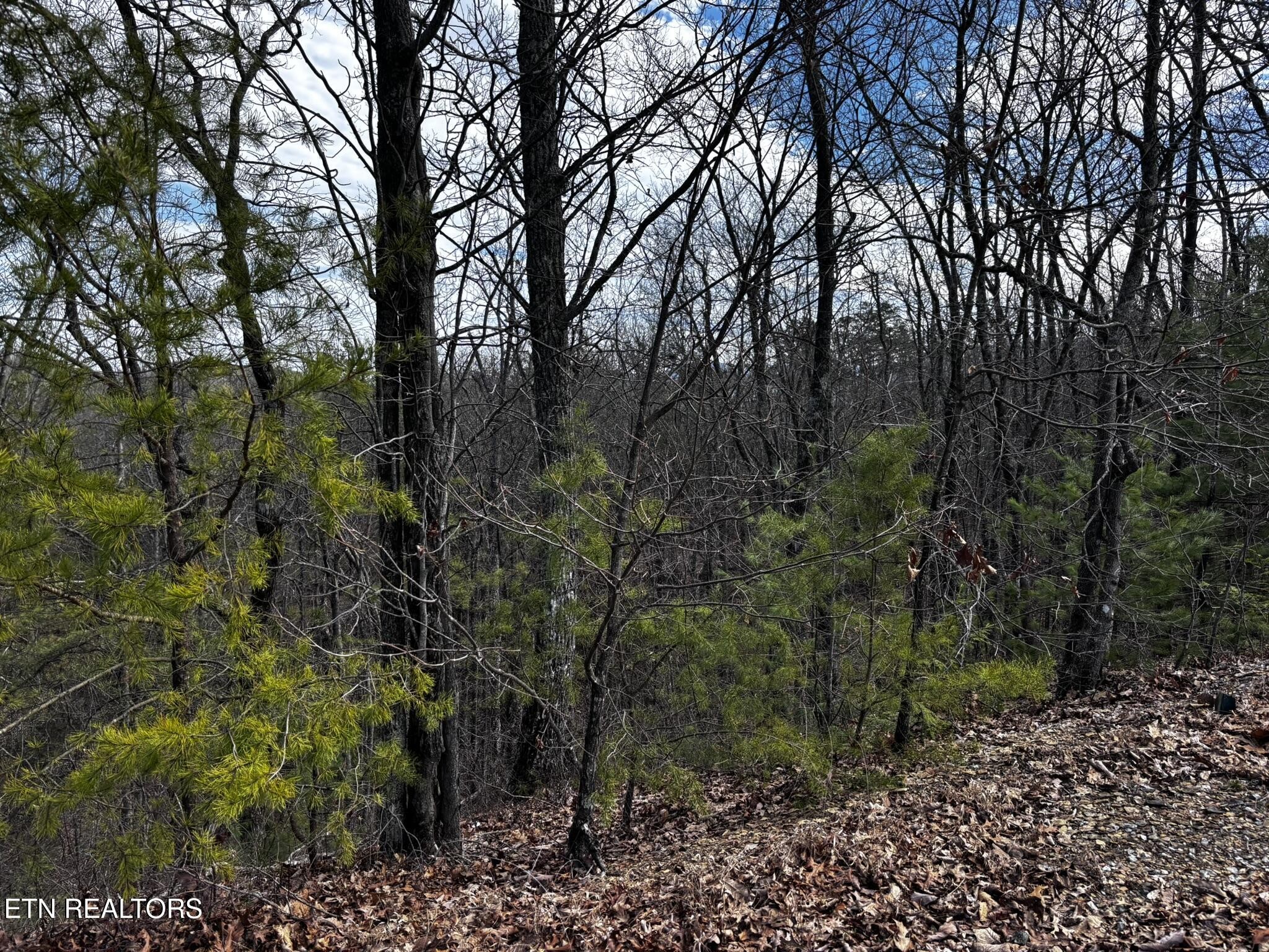 43 Harvest Moon Road Sevierville, TN 37862 - Photo 31 of 33 Gallery Image 31