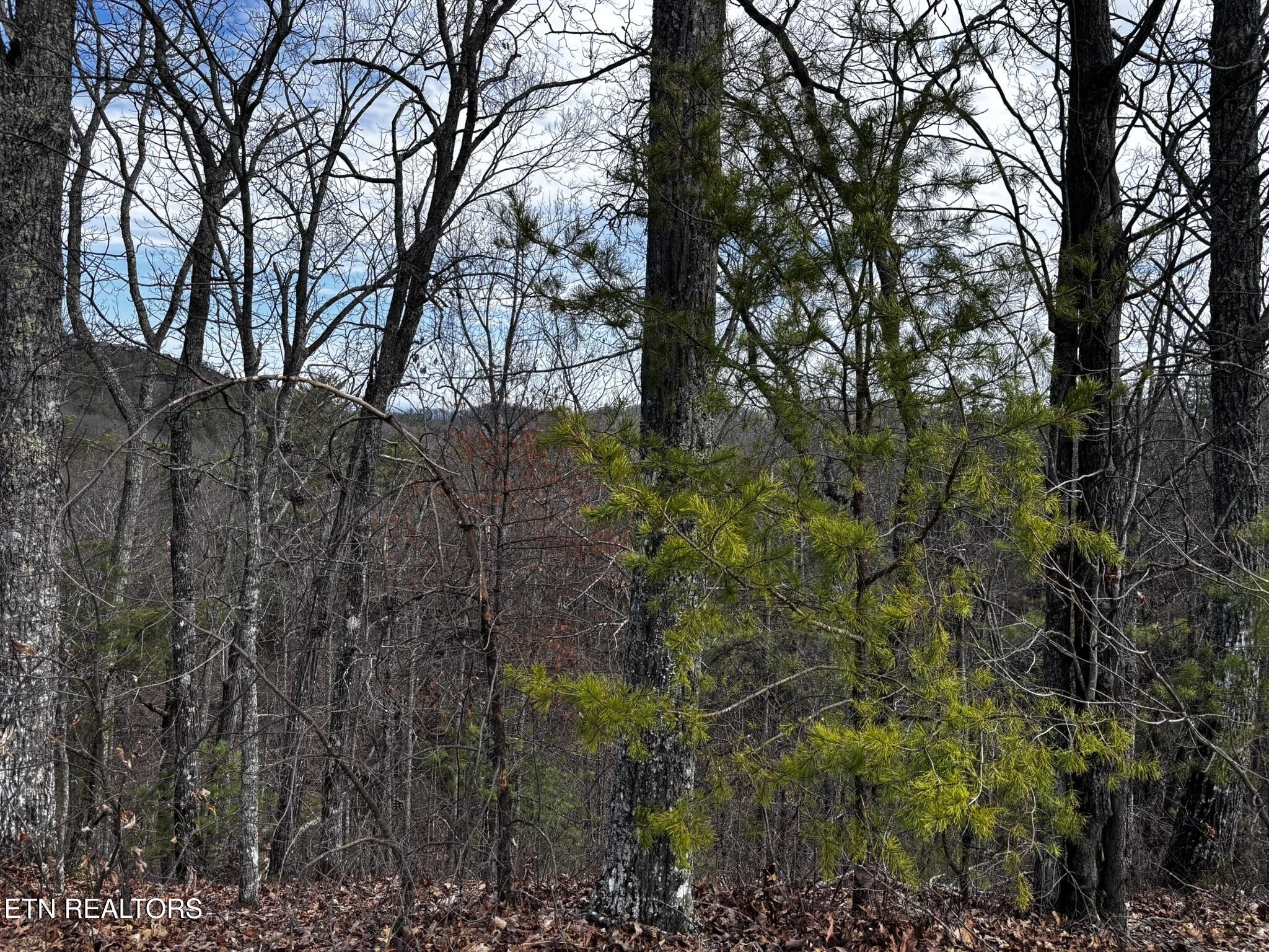 43 Harvest Moon Road Sevierville, TN 37862 - Photo 32 of 33 Gallery Image 32